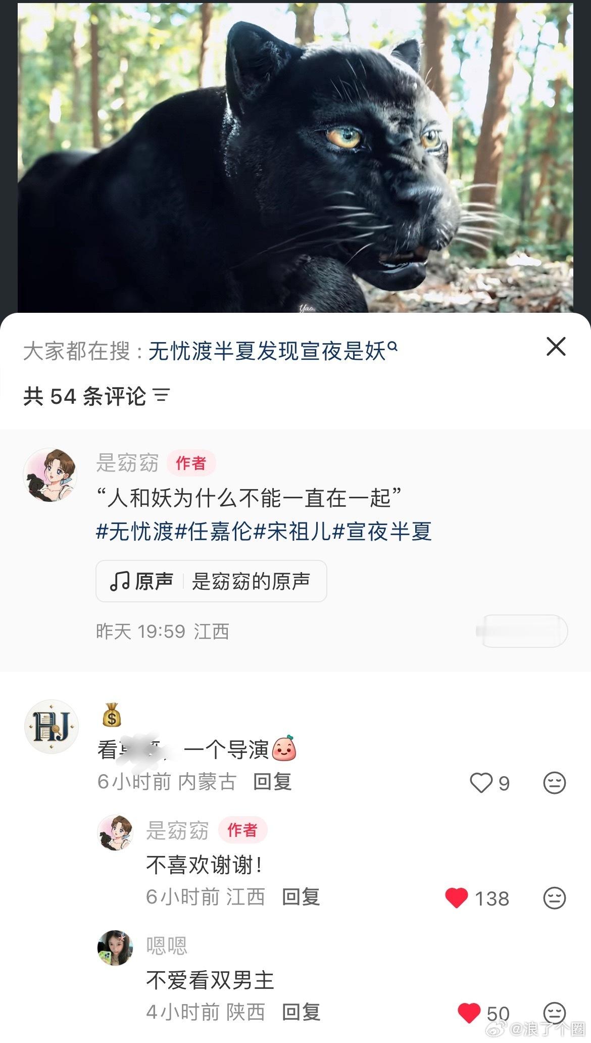 最不好惹的无忧渡剧粉渡家军无忧渡