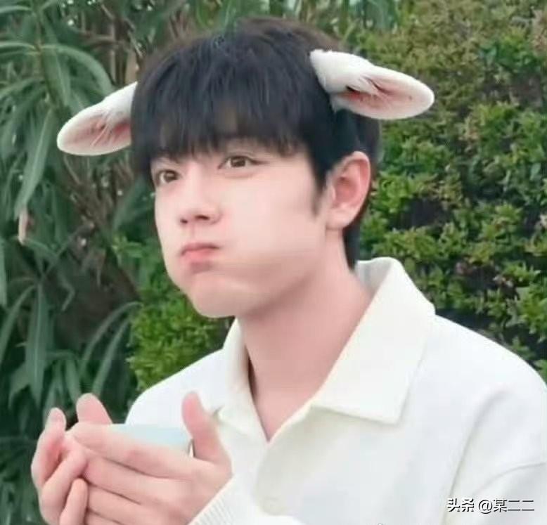 肖战站姐为什么不参加愚人节团建？
【爱不愚人】
没有为别人举起过相机
爱是不原浑