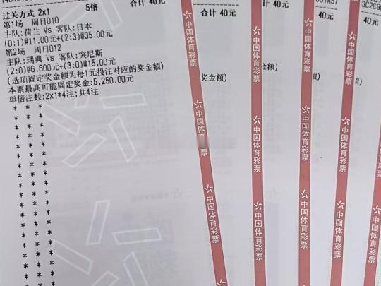 世界杯 荷兰vs日本 瑞典vs突尼斯 