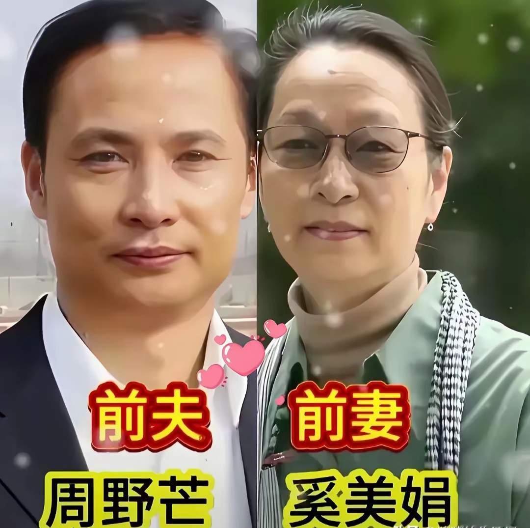 周野芒奚美娟
黄志忠何音
文章马伊琍
离婚了的三对明星夫妻，哪一对成了你的意难平