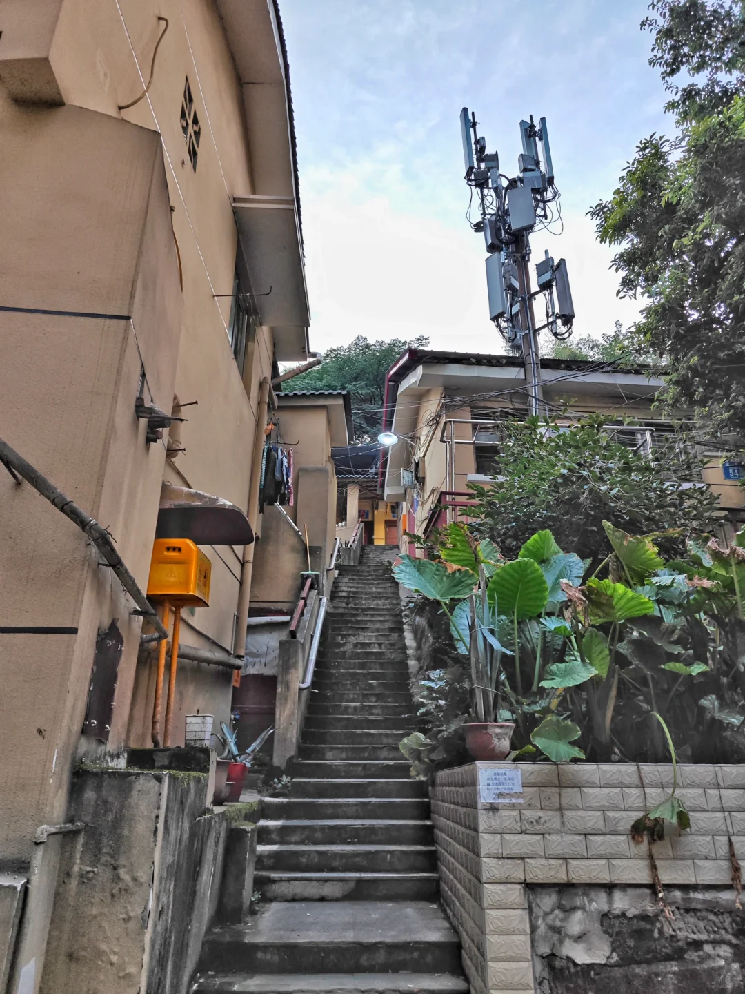 川外和西政旁边的隐秘区域(citywalk310)