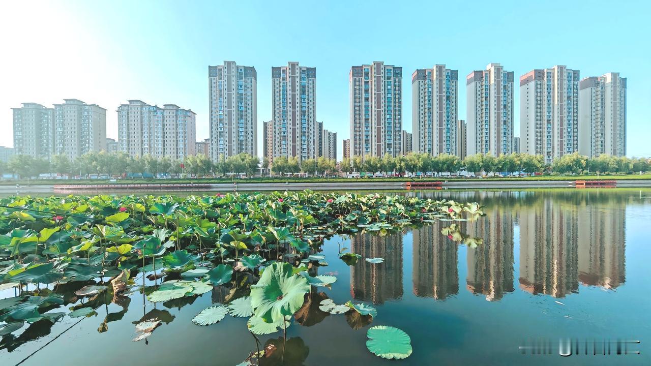 晒图笔记大赛碧桂园住宅小区在抱龙河里的倒影（威海市文登区）