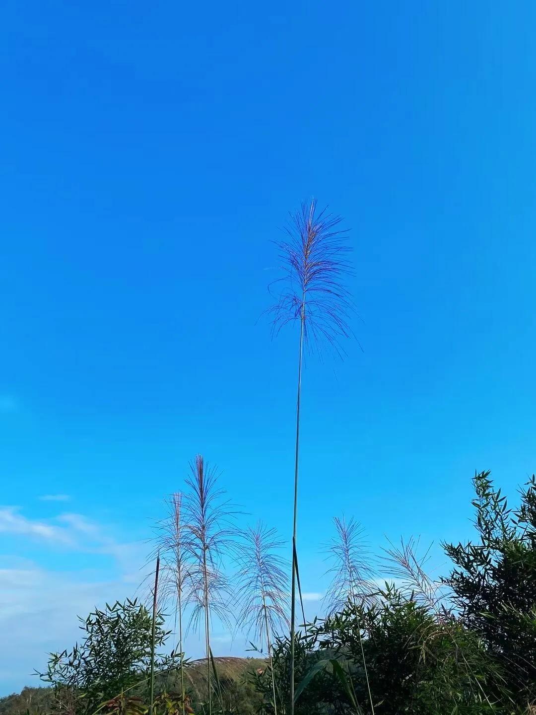 大家有没有发现一个奇怪现象：人一旦失业了就不想去上班了，就喜欢在家里待着，不想交