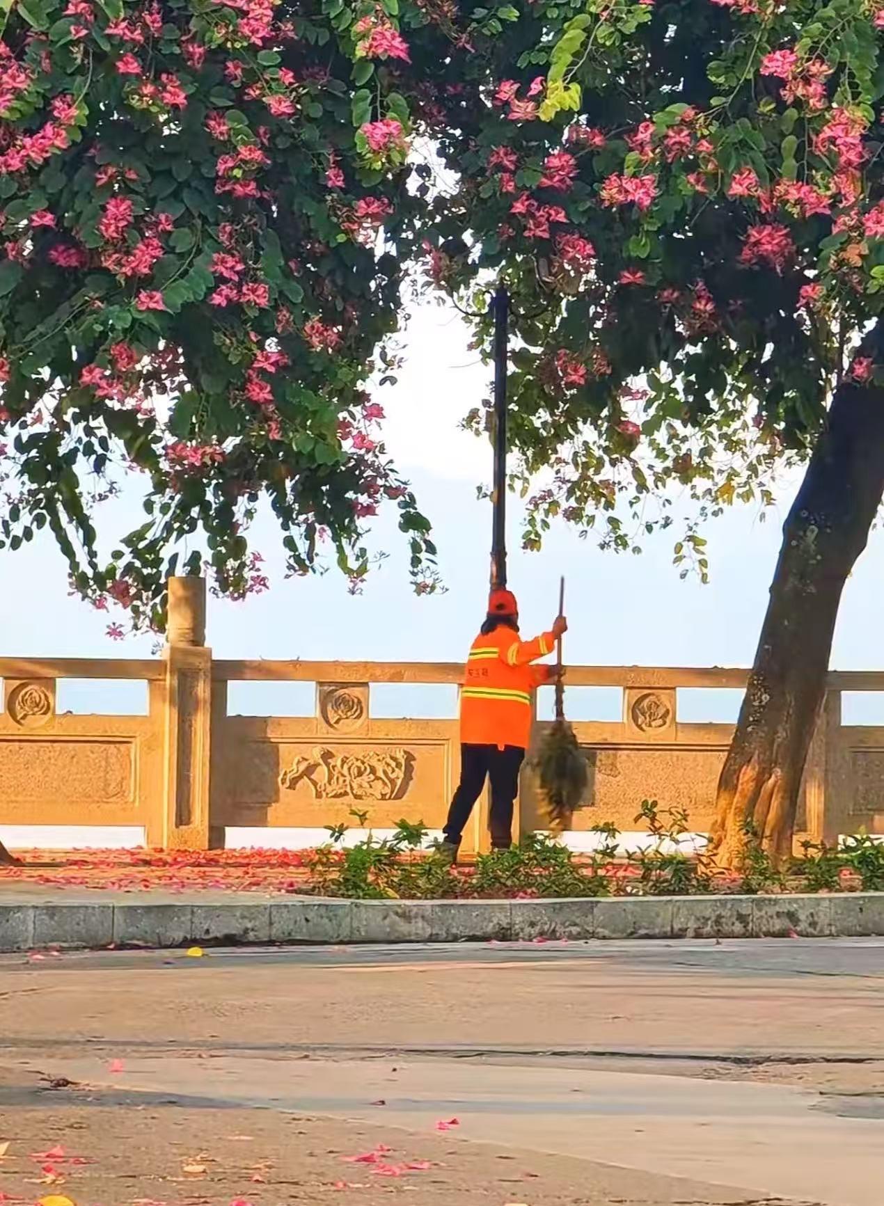 扫帚没放下，

人已跳进河里，

她咋就那么快？

钟耿平今年62岁，扫了20年