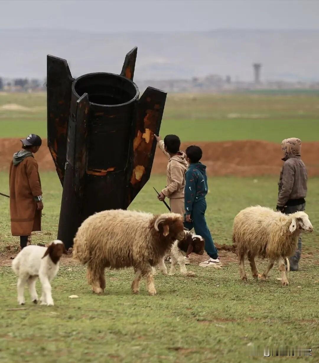 你觉得孩子应该从小参与社会实践吗应该。社会才是最好的最后的学校。一个人的社会责任