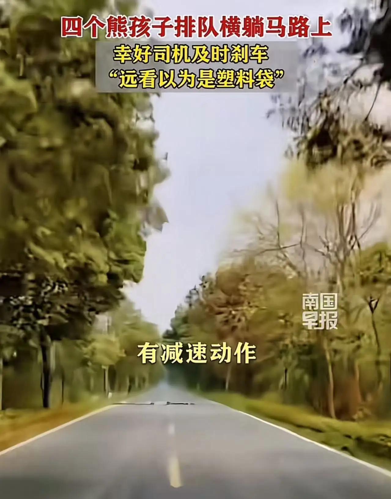 四个熊孩子差点让司机倾家荡产！”广东清远，四个熊孩子居然排队横躺在马路上，要不是