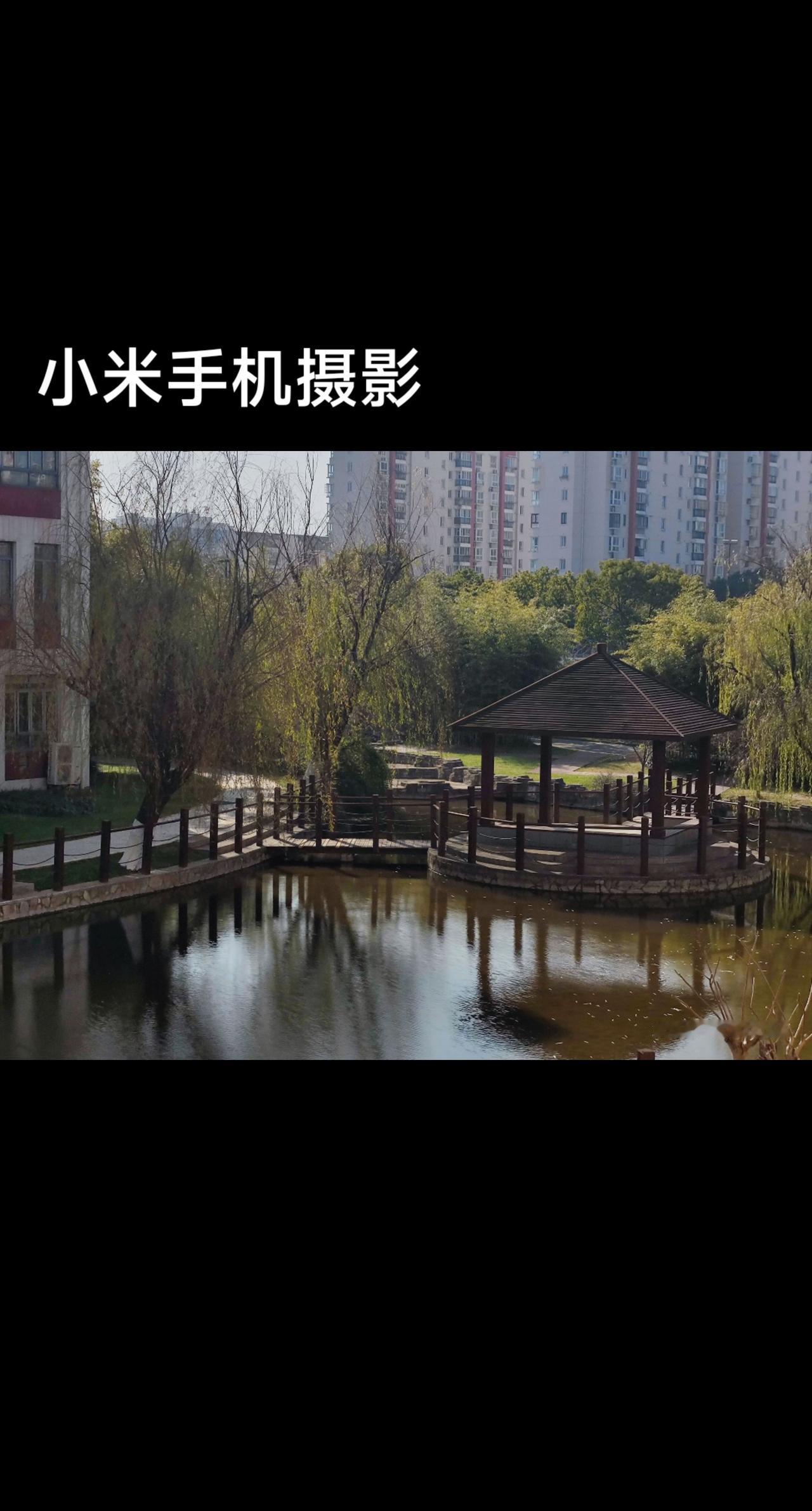 小米手机将美好一刻定格在这里🌹身边的风景