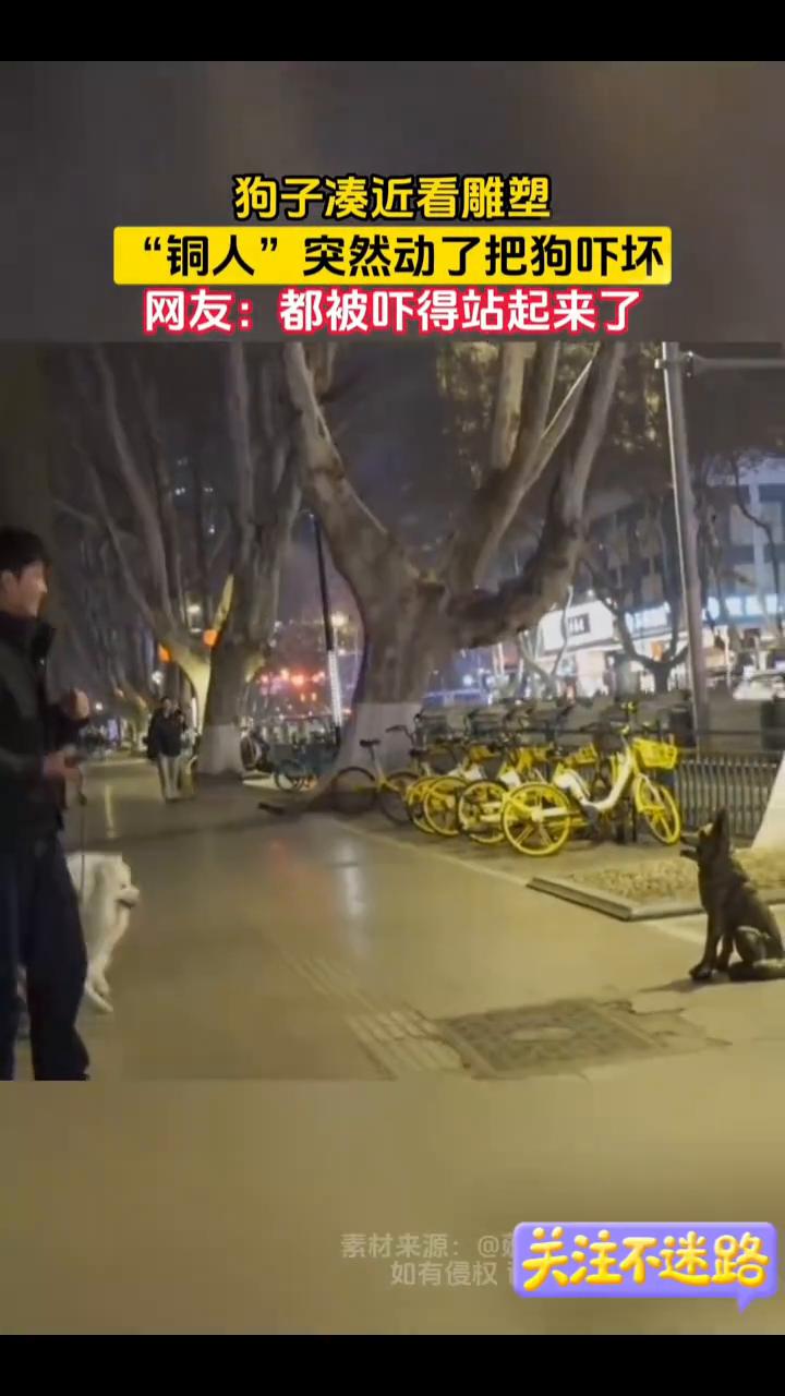 狗子凑近看雕塑，"铜人"突然动了把狗吓坏。
网友：都被吓得站起来了。
3月24日