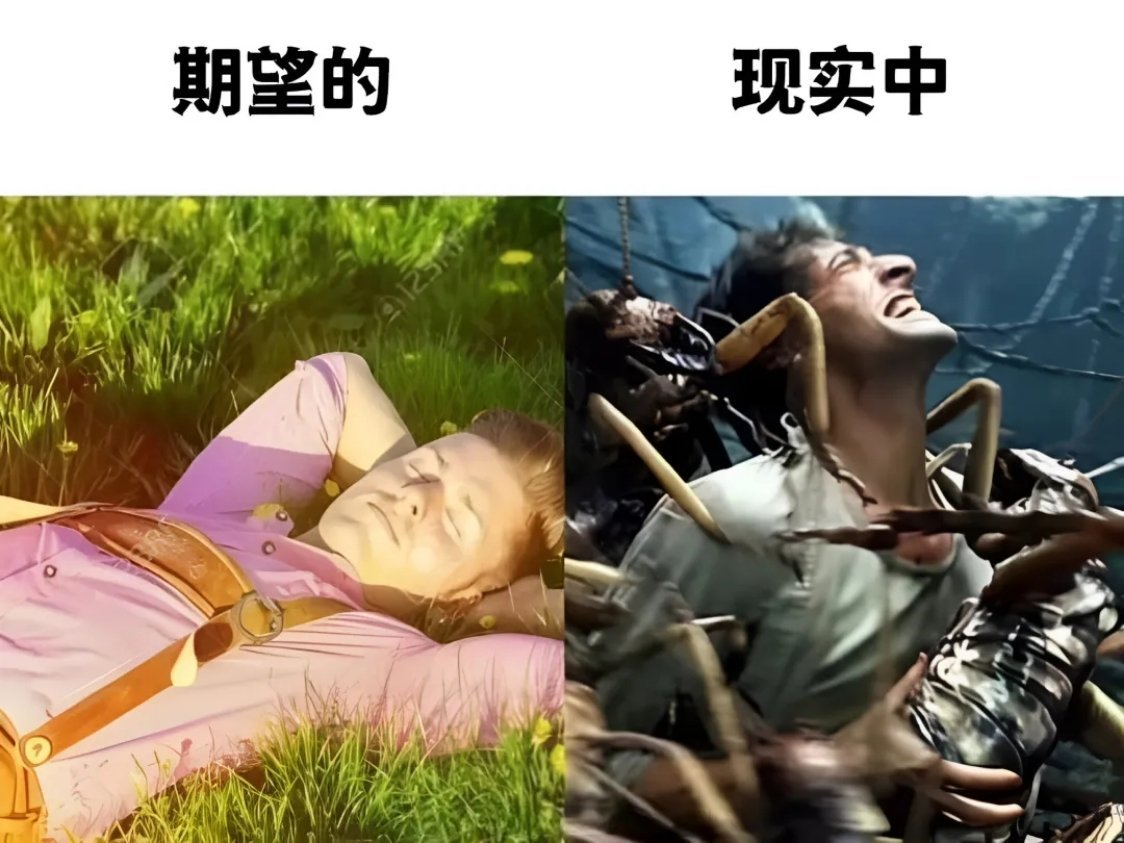 当我躺在草地上时： ​​​