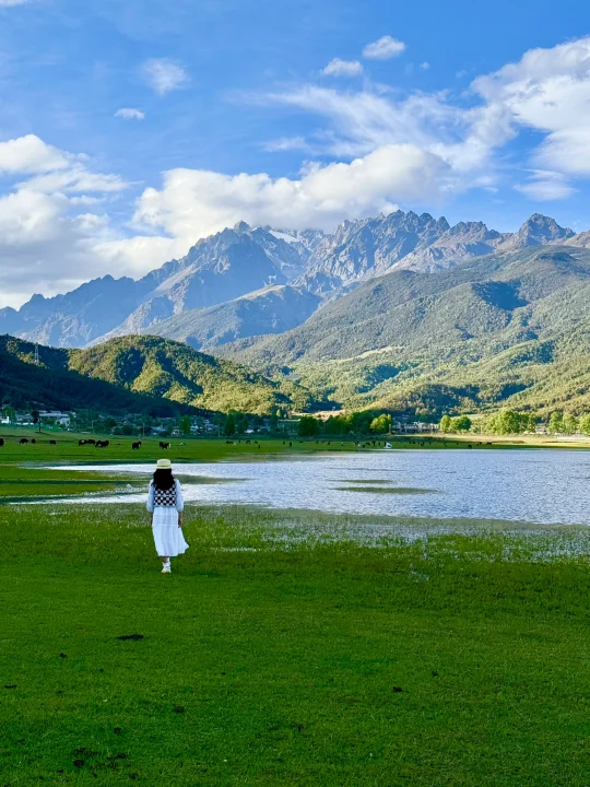 丽江周边也有属于自己的“阿勒泰”🌳