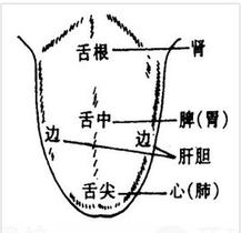 这会儿有空，继续帮大家看舌头！
挑战帮免费帮粉丝看舌象第1天！
线下不少人找武医