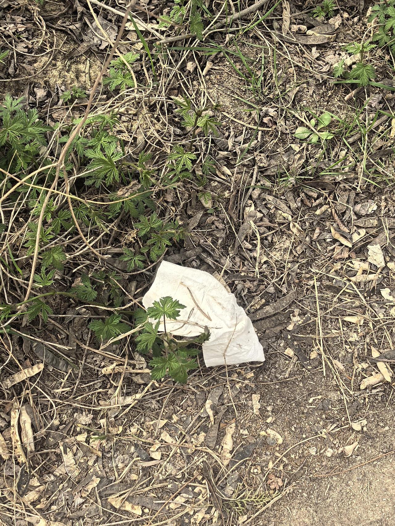 垃圾不落地的，城市才美丽
每一位市民
都是这座城市的守护神
不要因为一个人的素质