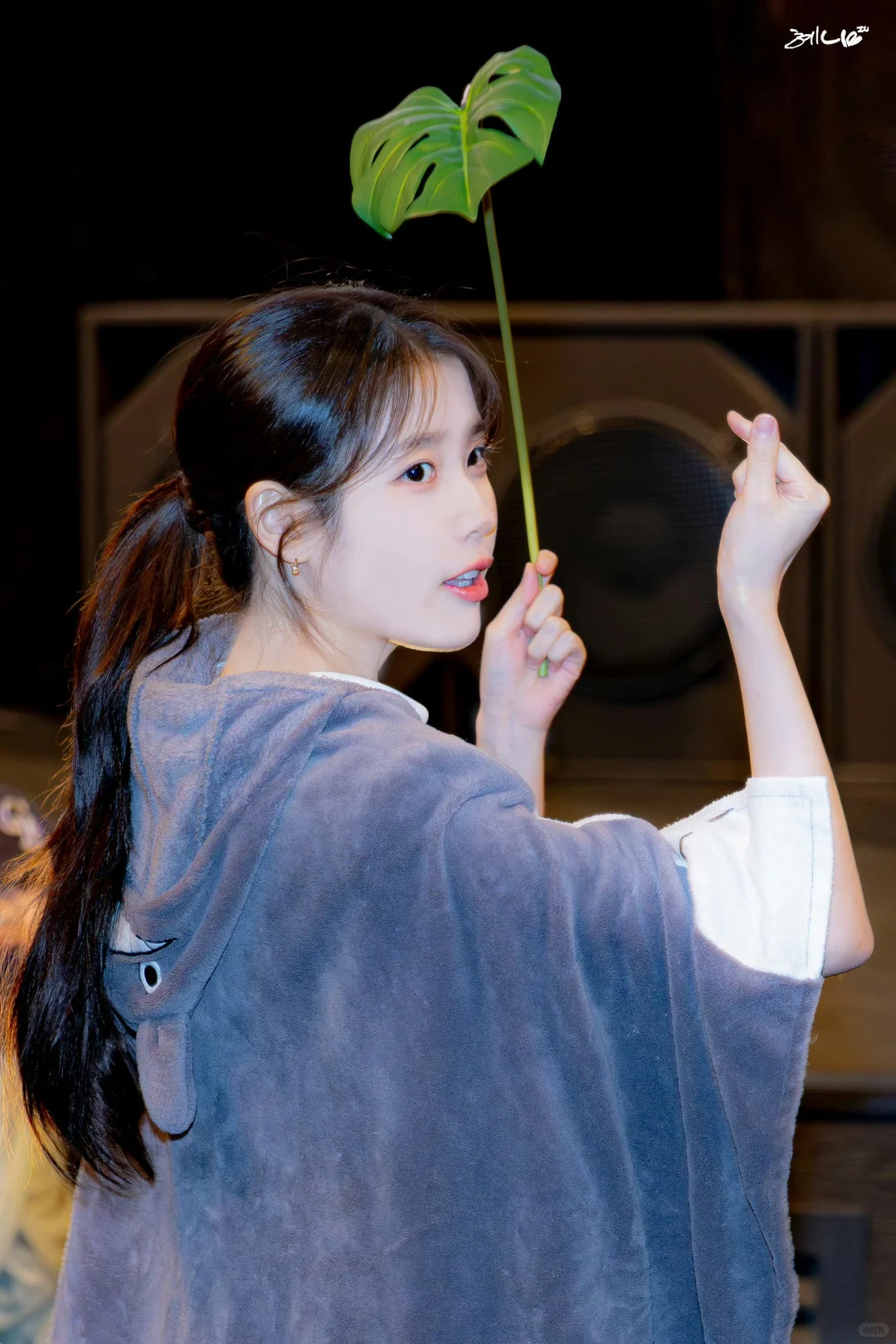 【IU】失踪人口