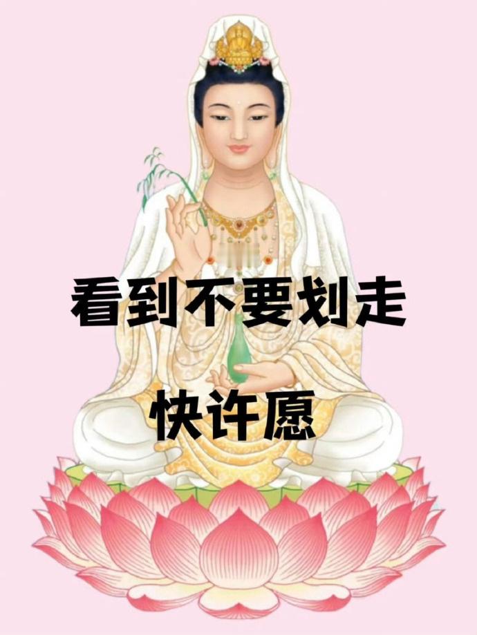 秒转 你八月愿望 都会显灵的🙏 