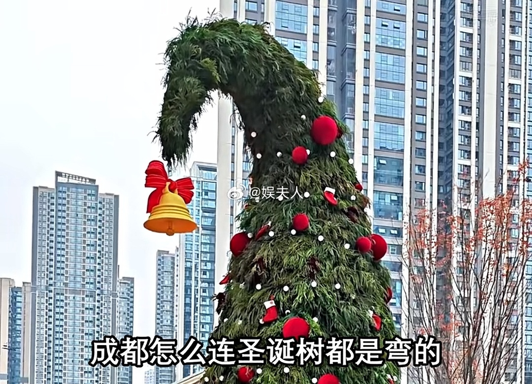 成都连圣诞树都弯的网友：成都只有天府大道是直的 