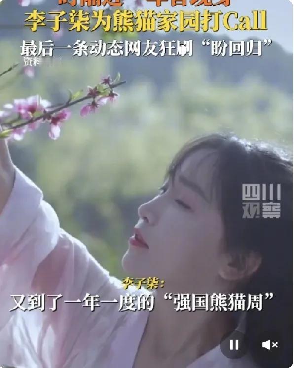 李子柒重出江湖，重现屏幕
#李子柒# @李子柒