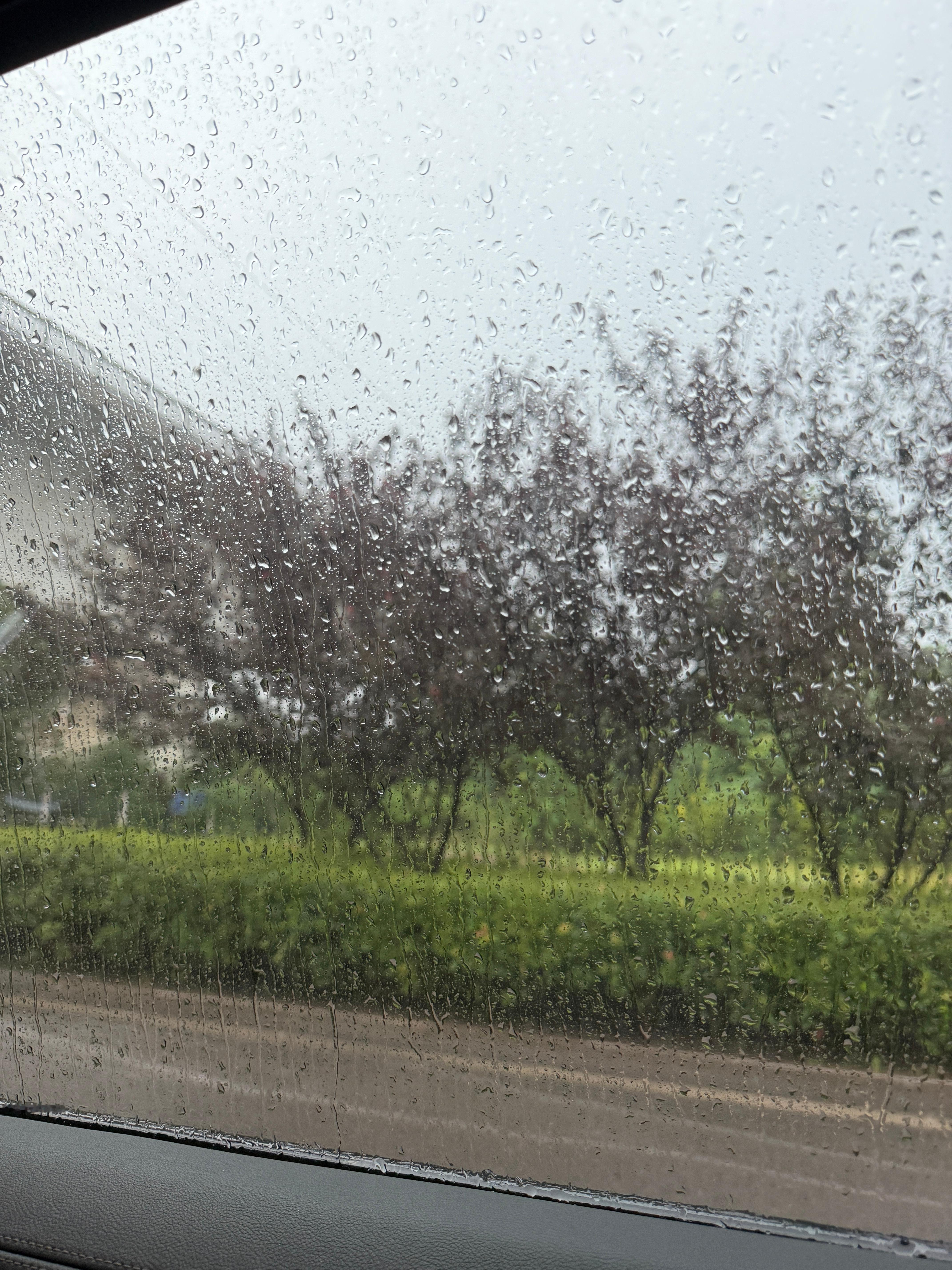 不许再下雨了😭 