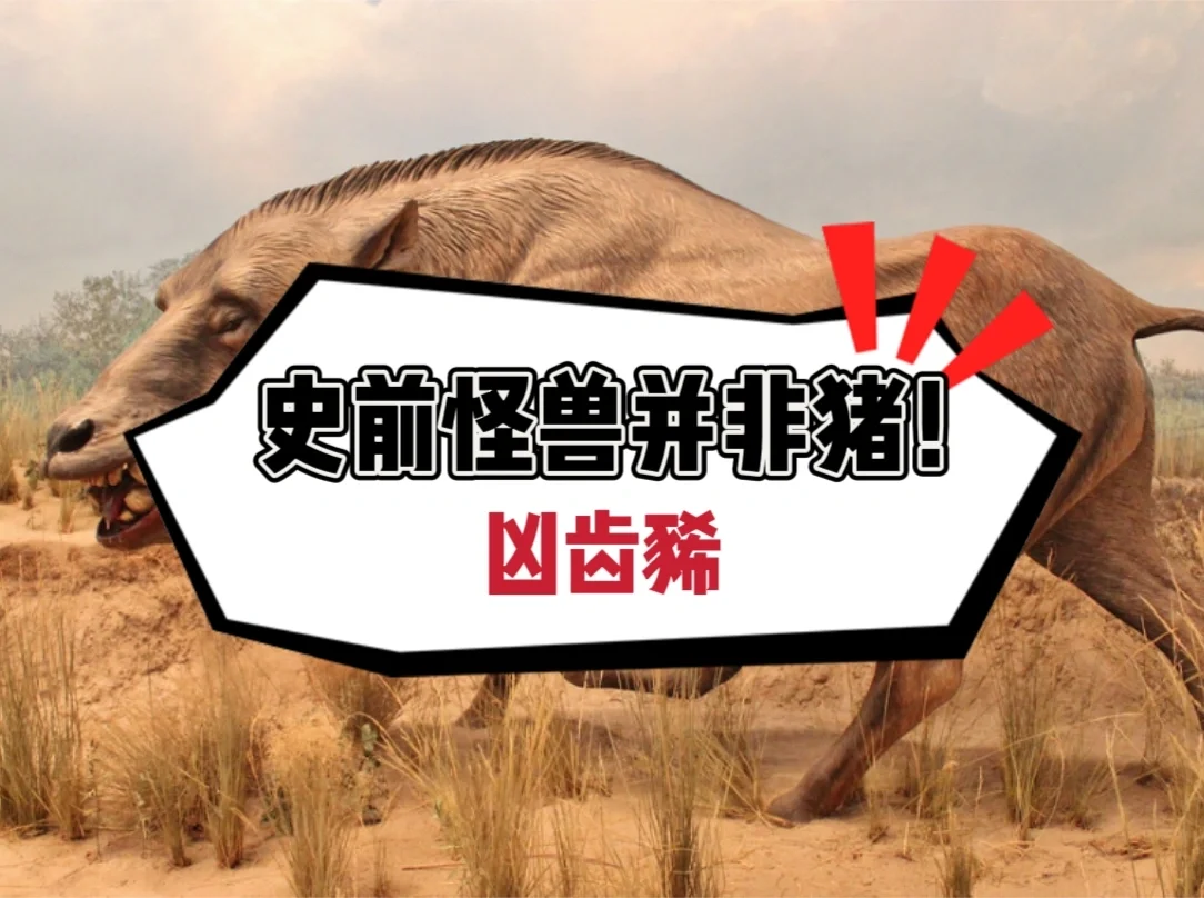 史前怪兽并非猪