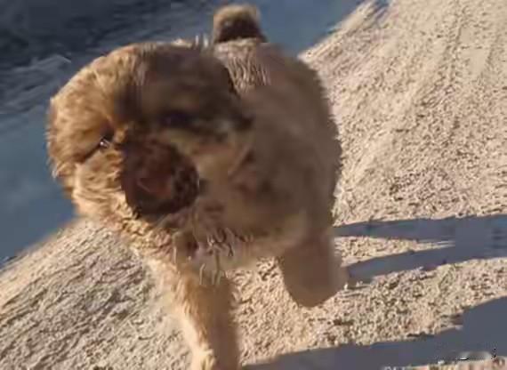 真的太坏了！这天一位小哥哥出去跑步，可结果跑到一条小路上的时候，看到非常惨烈的一