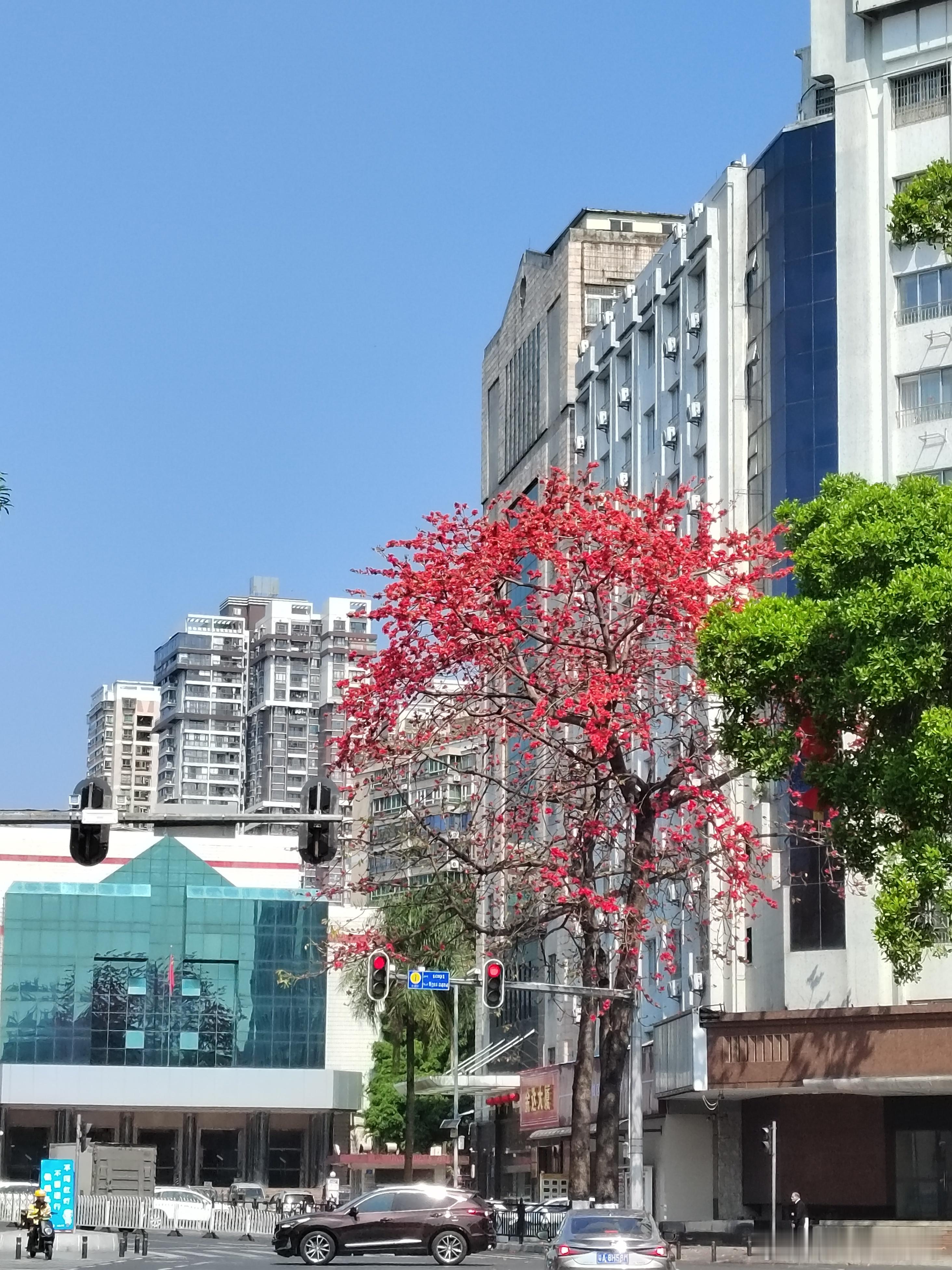 ETF大赛基金黄金股票 广州的木棉，美的震撼 