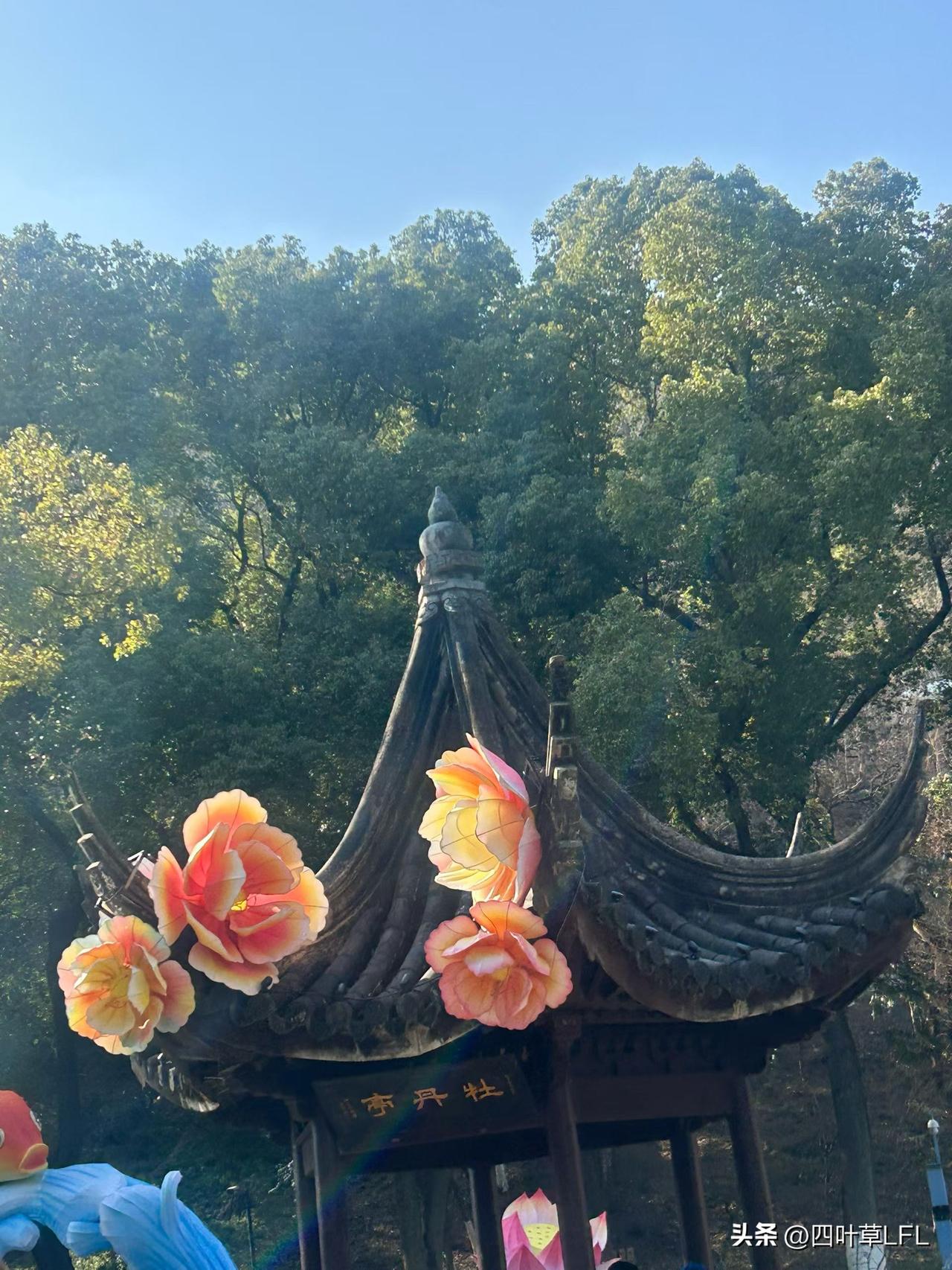 春日暖阳下，古风亭台与绚丽花灯交相辉映，美不胜收！