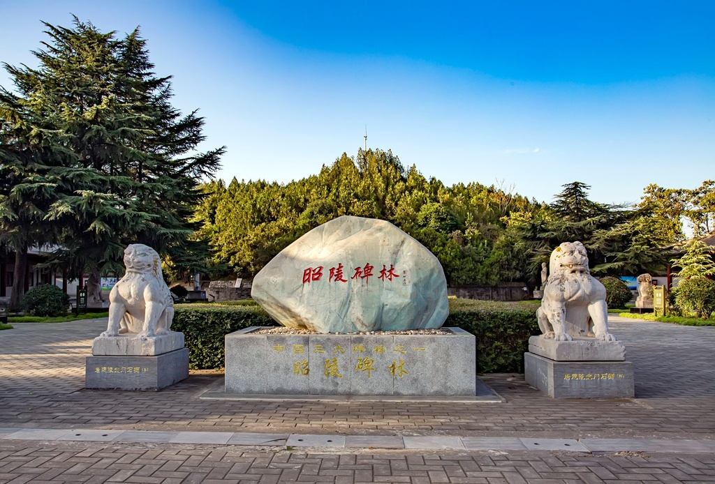 【逃离都市！礼泉解锁陕西乡村度假新玩法🏕️】 离开城市周末去礼泉✨古城西安今日