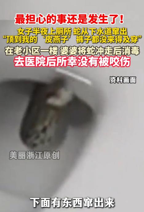 幸亏跑得快！近日，江苏一女子半夜上厕所，突然感觉下面有东西伸出来，顶到了皮燕子，