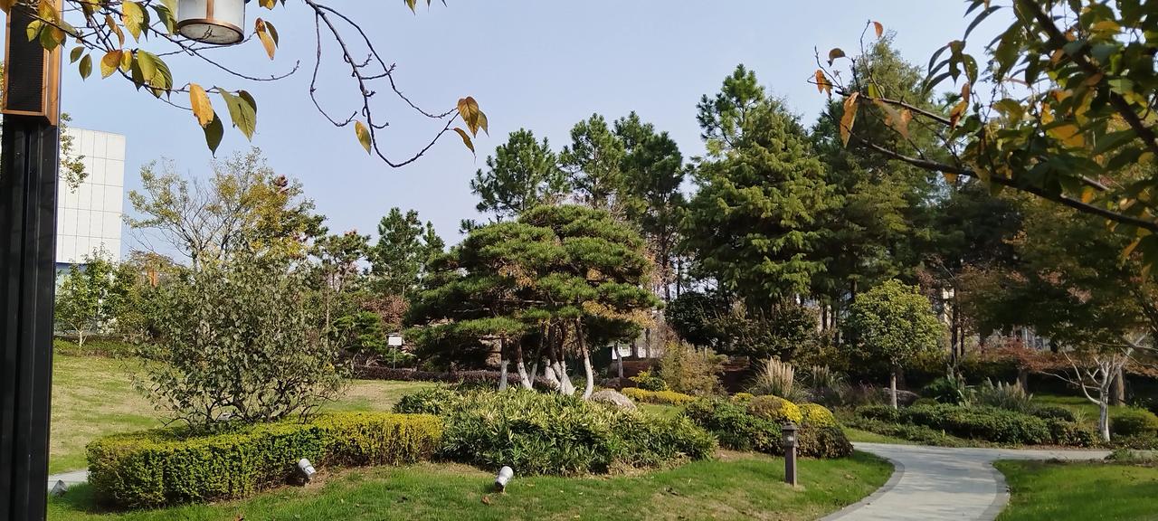 绿树成荫，阳光普照。