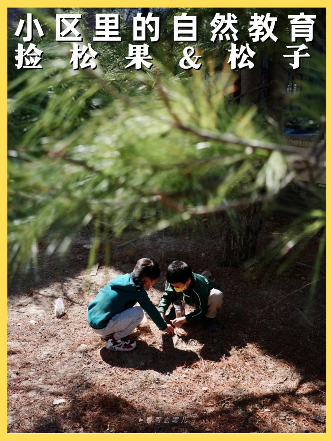 在小区里就可以进行的自然教育