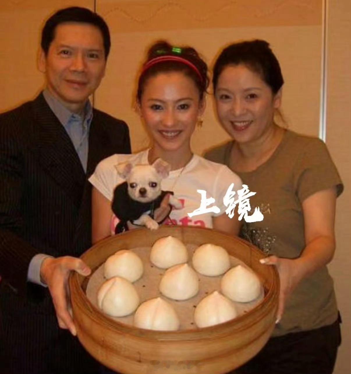向太力挺王菲谢霆锋omg这个事居然能有这么长久的后续哈哈哈哈 