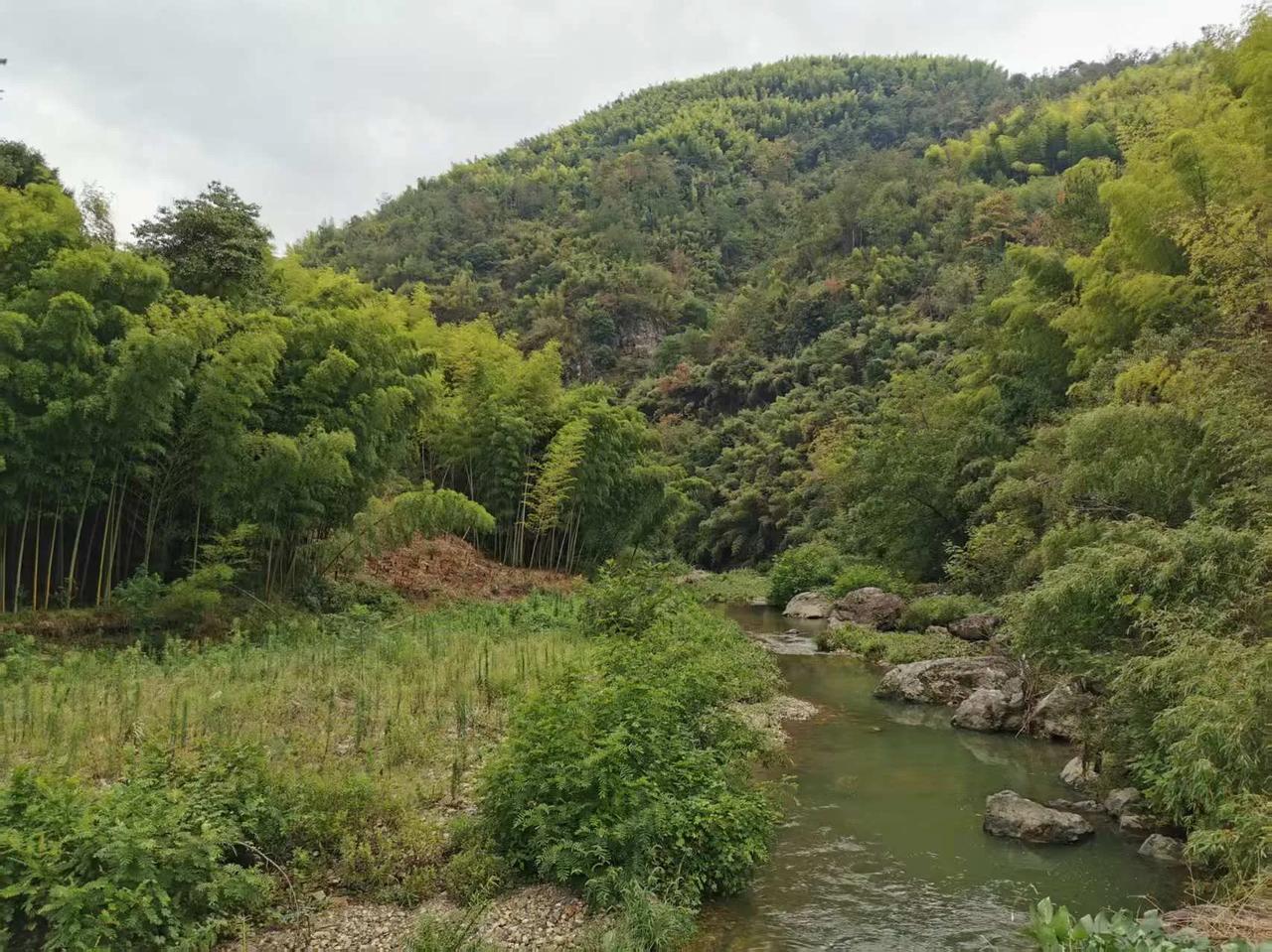 绿野流风花遍地，斜阳掠影树迎宾。
闲来无事随溪走，兴起沿路把句吟。
缕缕清香如醉