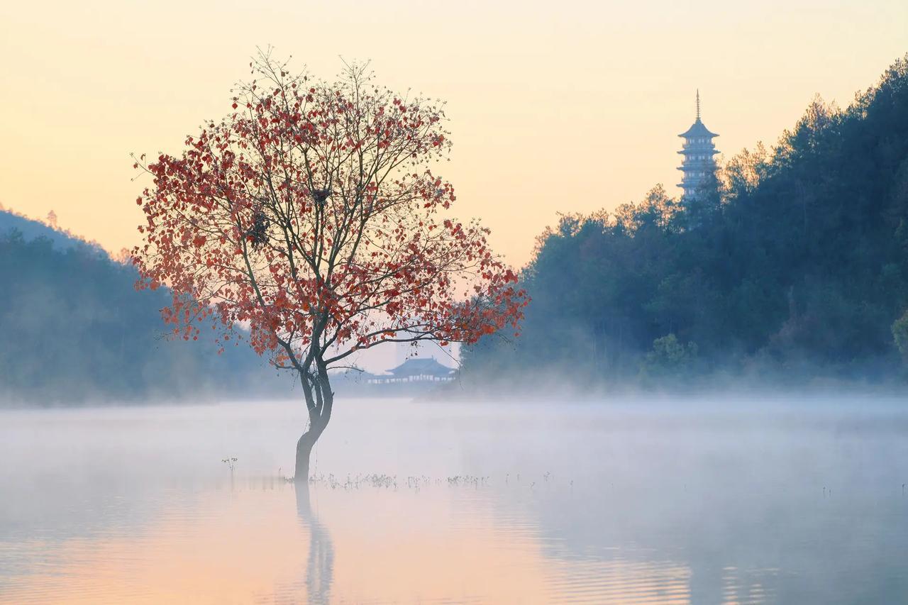 李自成为什么要起义？
李自成起义的核心是明末底层百姓绝境求生的必然选择，根本原因