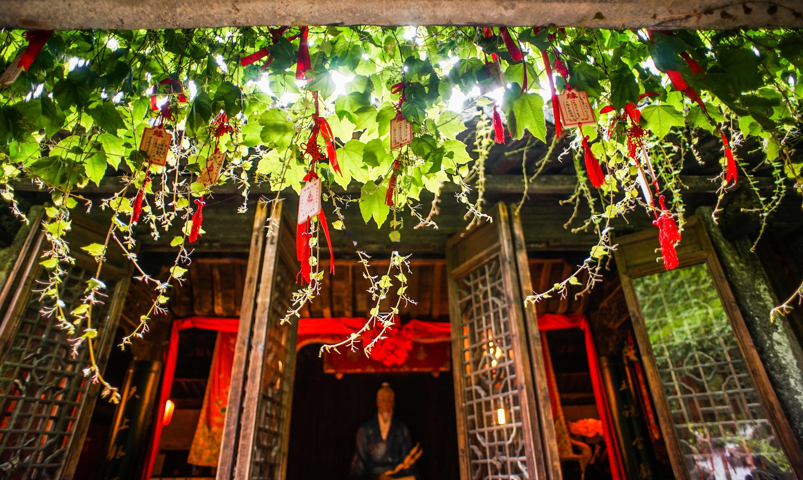 女人的命运会从嫁给一个什么样的男人那一刻开始改变，师父真心祝愿天下每一位女孩子找