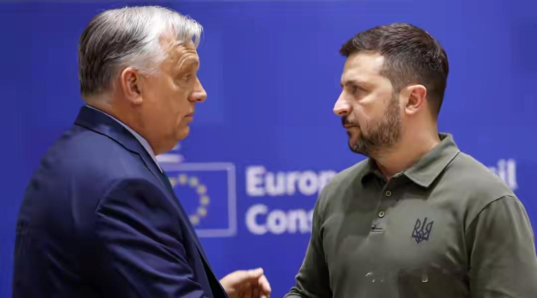 在2026年慕尼黑安全会议上，泽连斯基与匈牙利总理欧尔班的交流可以说是相当直白。