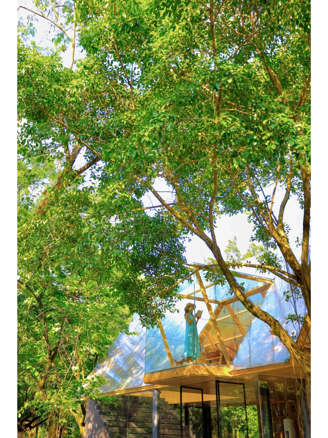 广州驾车1H🚗感受绿林山谷的静谧时光🍃