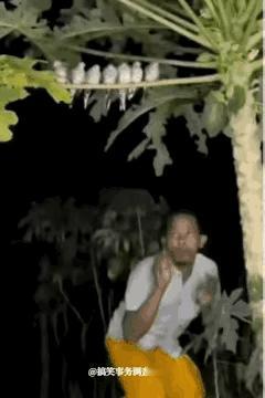 鸟：你们清高。