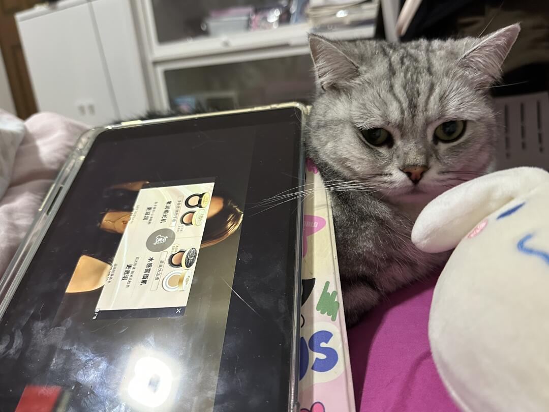 猫型支架