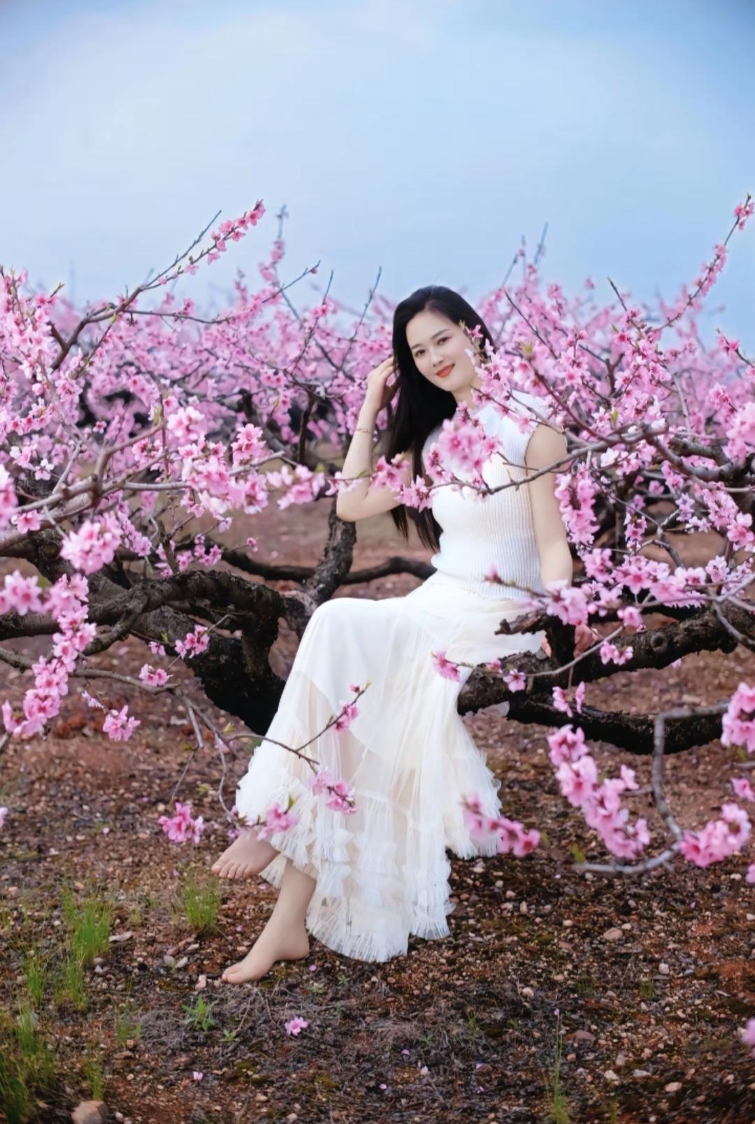 粉花映美人，春意满枝头。