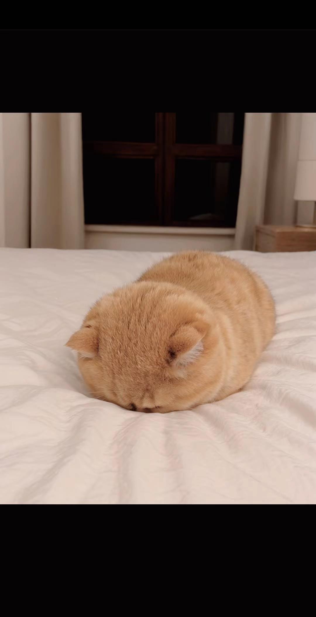 上热搜 全网搜索 求解答 内容太过真实 为每一种未来