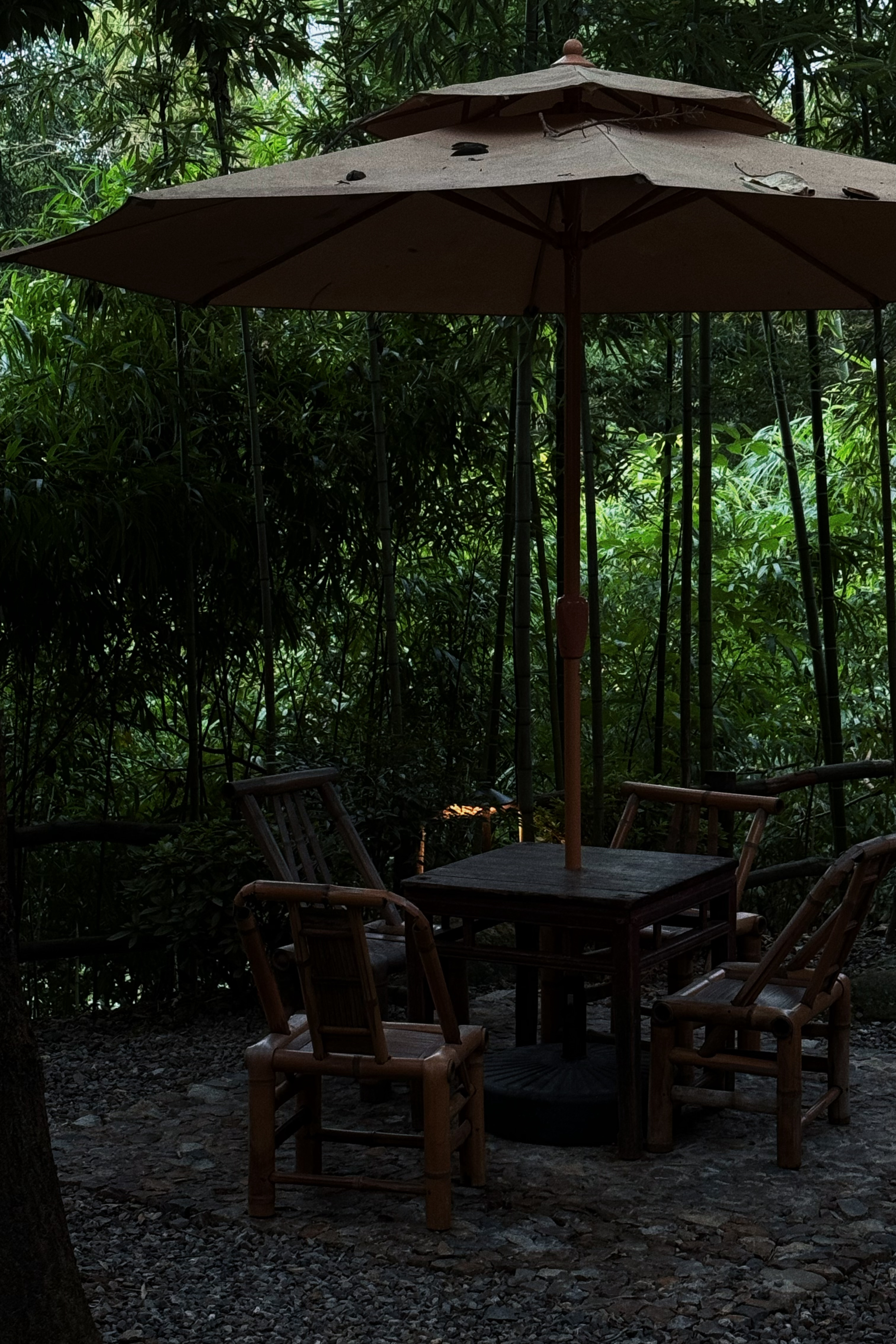 来山里泡温泉喂蚊子噜！（生命就要被浪费在这种地方啊！ ​​​