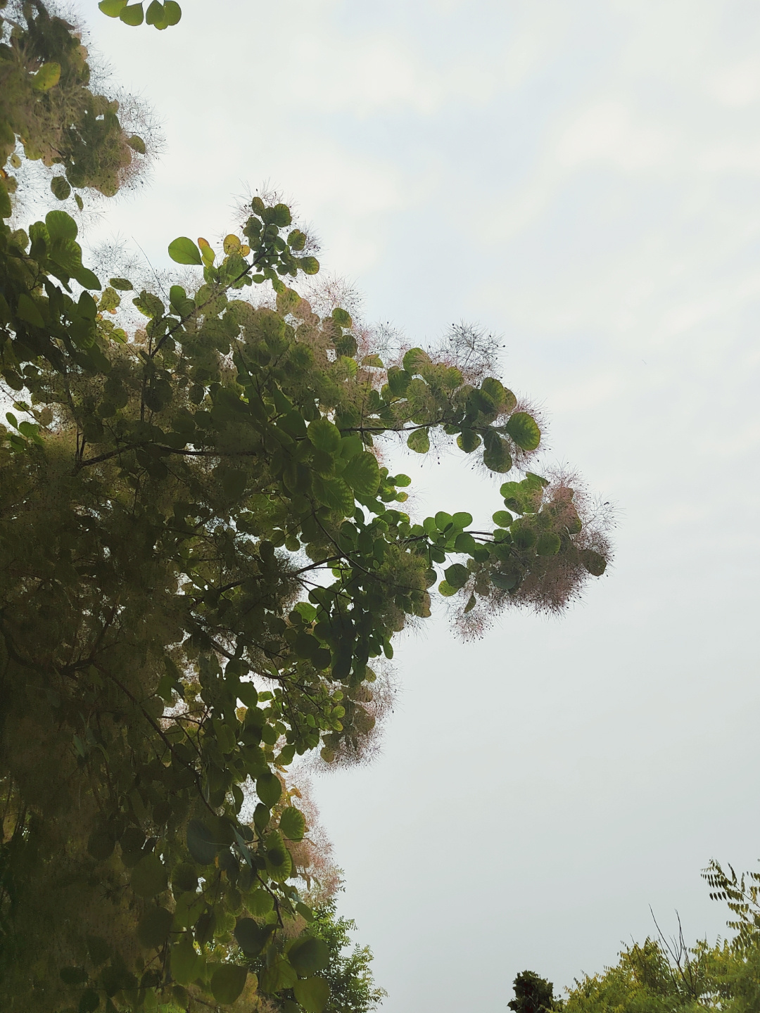 惹毛了好大儿后果很严重昨天被忽悠之后我的好大儿真的生气了写作业直接开启“免打扰模