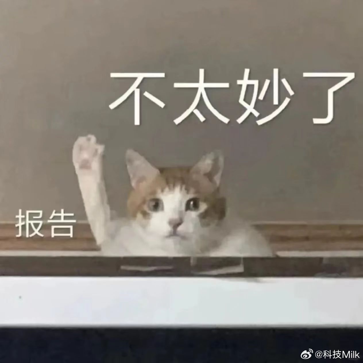 雷军强烈推荐现在就换手机 毕竟现在的手机一直在涨价，现在618大促，确实是入手的
