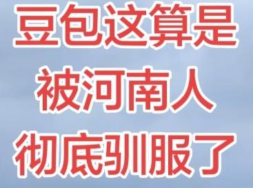 豆包的情绪价值和国界感尺度，彻底被河南人拉满！

网上疯传的河南话驯服豆包，直接