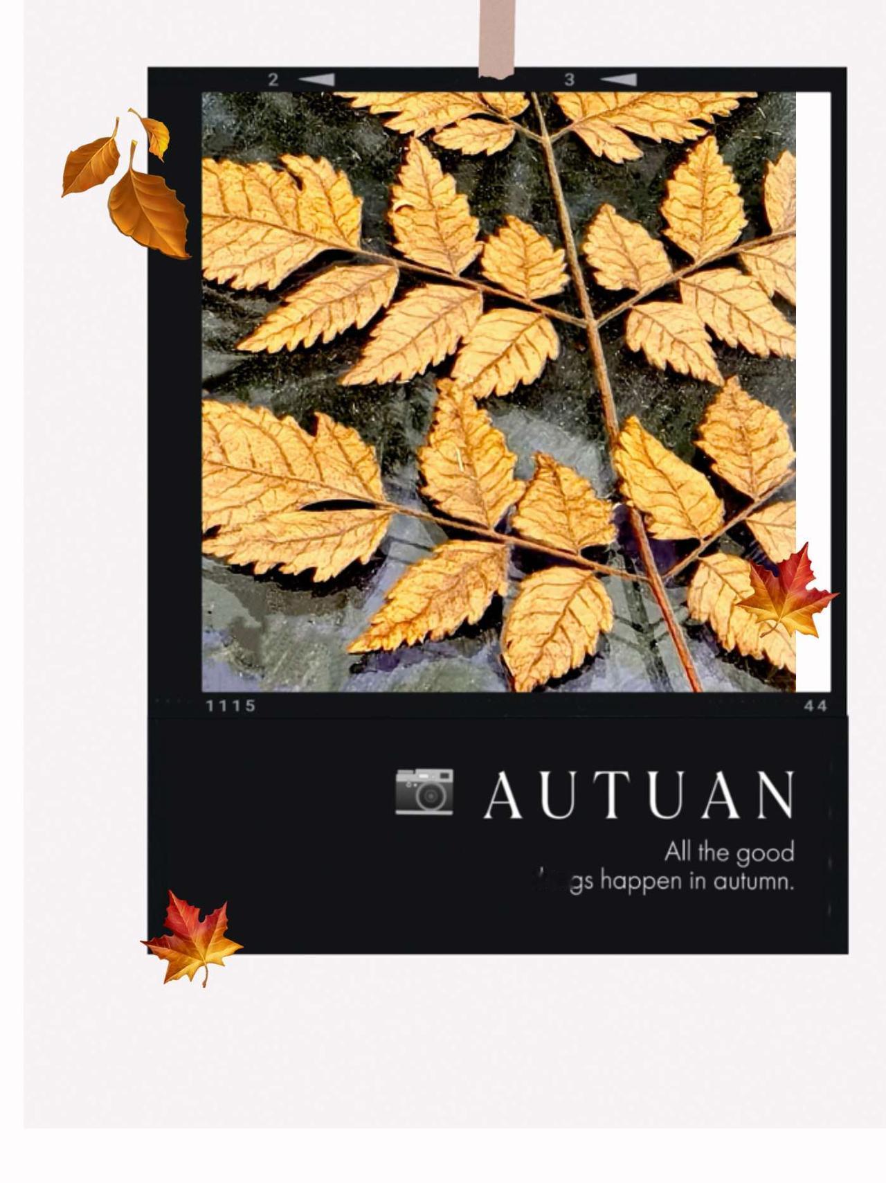 盼头真的很重要