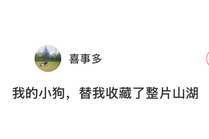 小狗替我收藏了整片山湖 