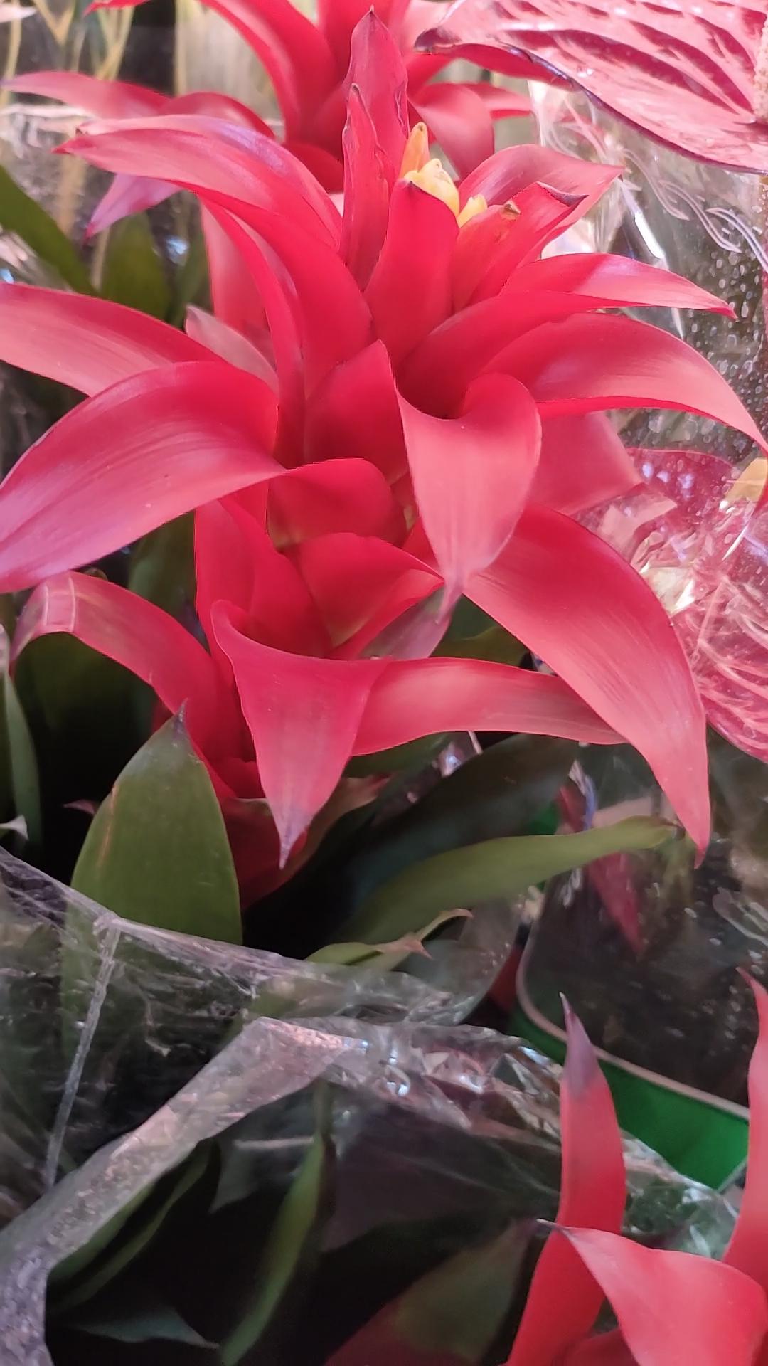 不用刻意讨好，不用小心翼翼说话，不用假装懂事，不用时刻伪装自己，坐着不说话也不尴