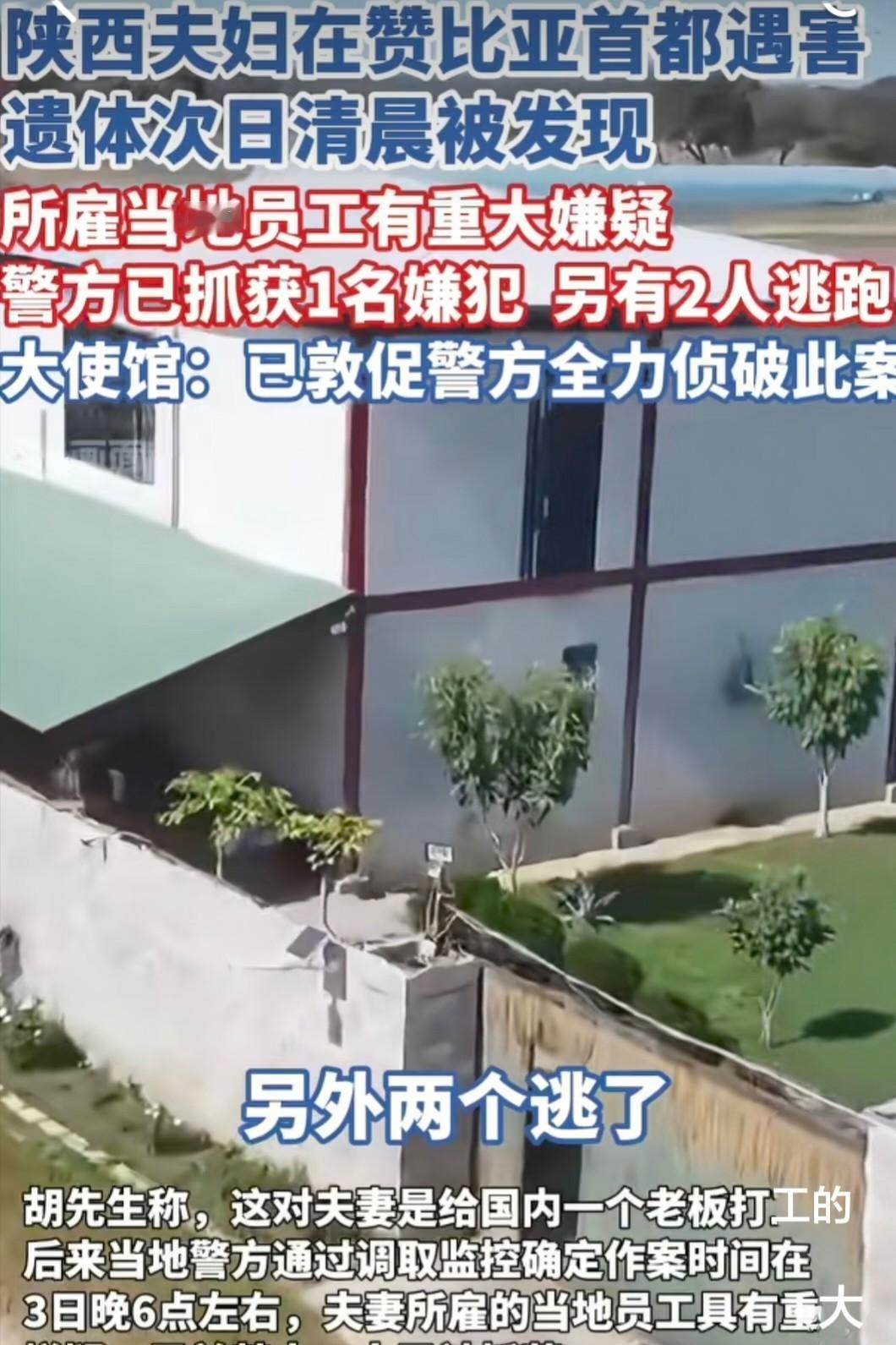 跑非洲去卖假发，结果命丧赞比亚卢萨卡农场。
近日，一对受雇于国内老板的陕西籍夫妻