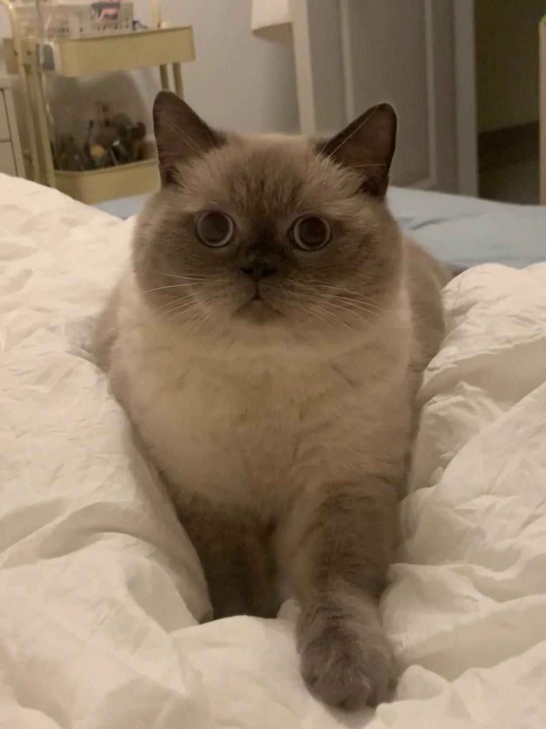 我说没洗脸不让上床，他就黑脸了