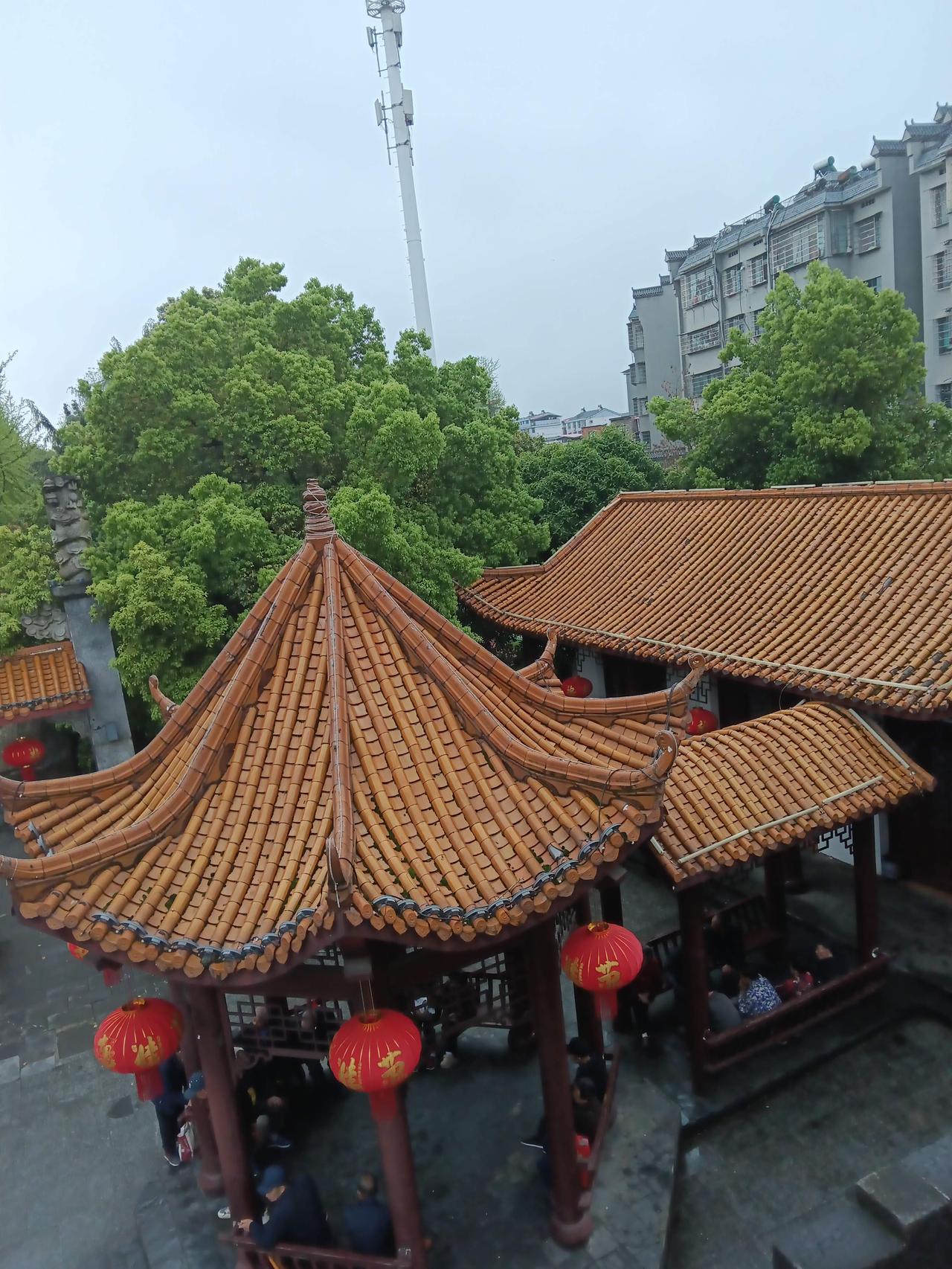 湖南的夏天，一开场就被荷香泡软。湖南水系发达，五大水系覆盖全省 10%的水域。洞