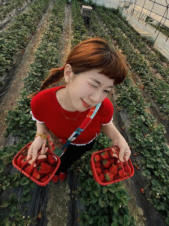 天气这么好 一起去摘草莓吧(っ˘з🍓）
